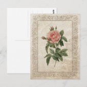 VINTAGE ROSE I POSTKARTE (Vorne/Hinten)