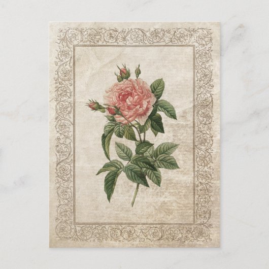 VINTAGE ROSE I POSTKARTE (Vorderseite)