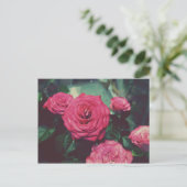 VINTAGE ROSE I POSTKARTE (Stehend Vorderseite)