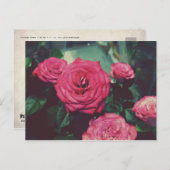 VINTAGE ROSE I POSTKARTE (Vorne/Hinten)