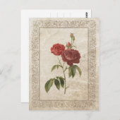 VINTAGE ROSE II POSTKARTE (Vorne/Hinten)