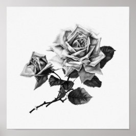 Vintage Rose Illustration Poster