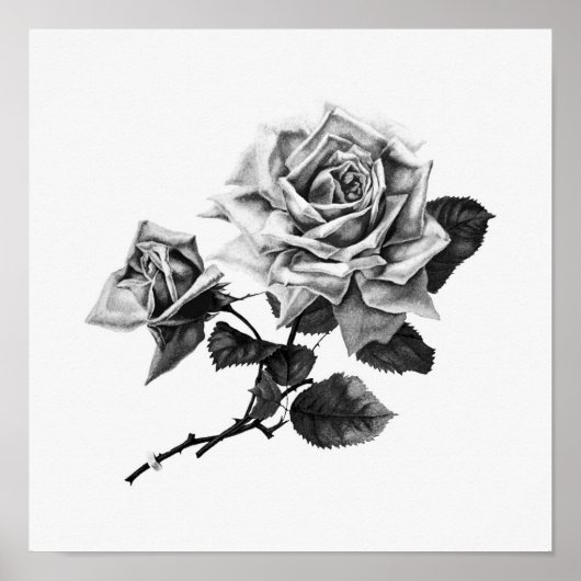 Vintage Rose Illustration Poster (Vorne)