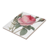 Vintage Rose in blassrosa Malerei Fliese (Seite)