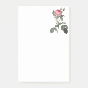 Vintage Rose in blassrosa Malerei Post-it Klebezettel