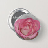 Vintage Rose in Rosa Button (Vorne & Hinten)