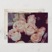 Vintage Rose IV Postkarte (Vorne/Hinten)