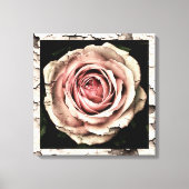 Vintage Rose Leinwanddruck (Vorderseite)