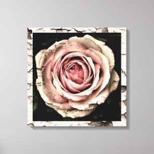 Vintage Rose Leinwanddruck