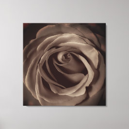 Vintage Rose Leinwanddruck