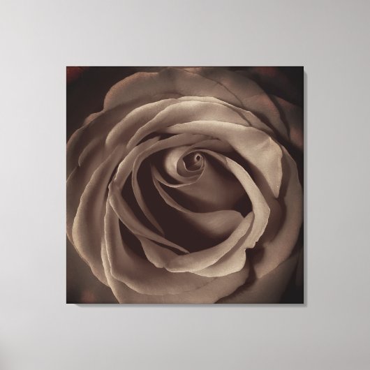 Vintage Rose Leinwanddruck (Vorderseite)