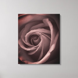 Vintage Rose Leinwanddruck