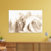 Vintage Rose Leinwanddruck (Insitu (Wohnzimmer))