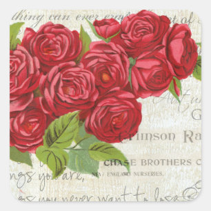 Vintage Rose Liebe Blume Valentine Quadratischer Aufkleber