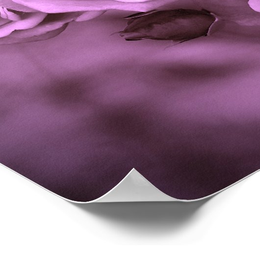 Vintage Rose Lila Poster (Ecke)