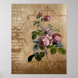 Vintage Rose mit Skript. Poster