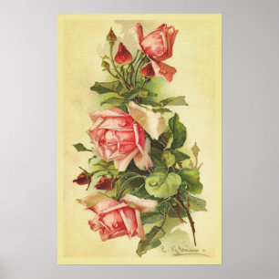 Vintage Rose mit Taubstropfen Poster