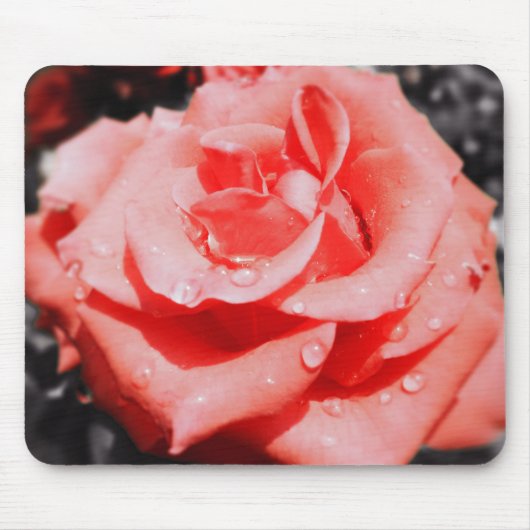 Vintage Rose Mousepad (Vorne)