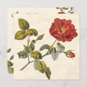 Vintage Rose Party Botanischer Geburtstagsgarten Einladung (Vorne/Hinten)