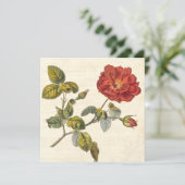 Vintage Rose Party Botanischer Geburtstagsgarten Einladung (Stehend Vorderseite)