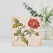 Vintage Rose Party Botanischer Geburtstagsgarten Einladung (Stehend Vorderseite)