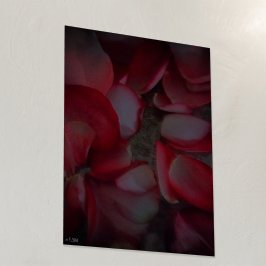 Vintage Rose Petals Gold oder Silberfolie Foliendrucke