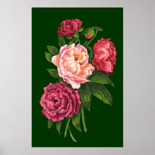 Vintage Rose Pink Peony Garden Blume Poster