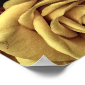 Vintage Rose Poster (Ecke)