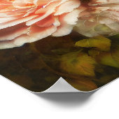 Vintage Rose Poster (Ecke)