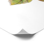 Vintage Rose Poster (Ecke)