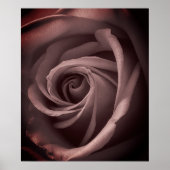 Vintage Rose Poster (Vorne)