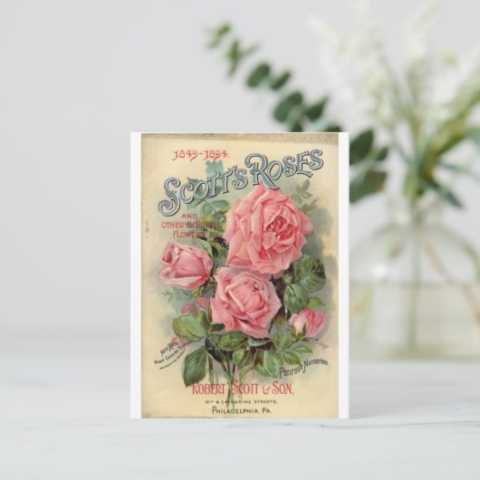 Vintage Rose Postkarte (Stehend Vorderseite)