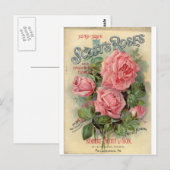 Vintage Rose Postkarte (Vorne/Hinten)