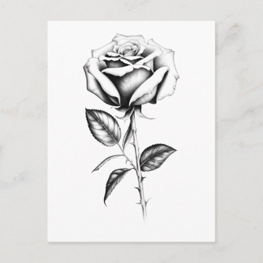 Vintage Rose Postkarte (Vorderseite)
