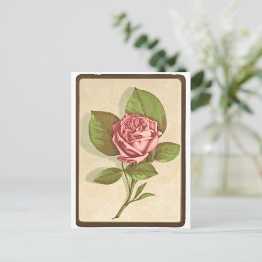 Vintage Rose Postkarte (Stehend Vorderseite)