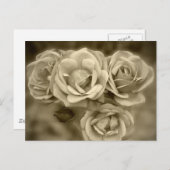 Vintage Rose Postkarte (Vorne/Hinten)