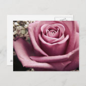 Vintage Rose Postkarte (Vorne/Hinten)
