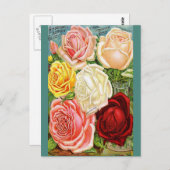 Vintage Rose Postkarte (Vorne/Hinten)