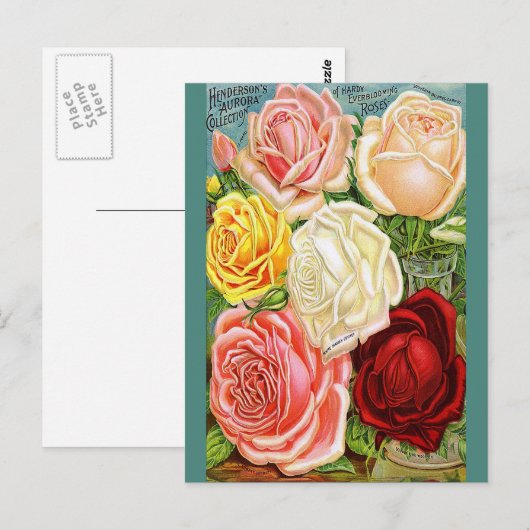 Vintage Rose Postkarte (Vorne/Hinten)