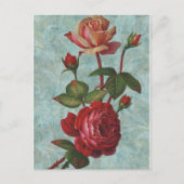 Vintage Rose Postkarte (Vorderseite)