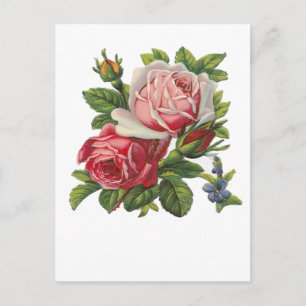 VINTAGE ROSE POSTKARTE