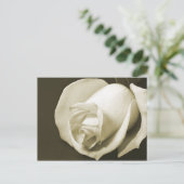 Vintage Rose Postkarte (Stehend Vorderseite)