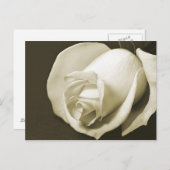 Vintage Rose Postkarte (Vorne/Hinten)