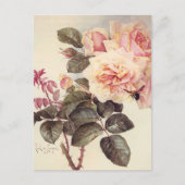 Vintage Rose Postkarte (Vorderseite)