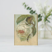Vintage Rose Postkarte (Stehend Vorderseite)