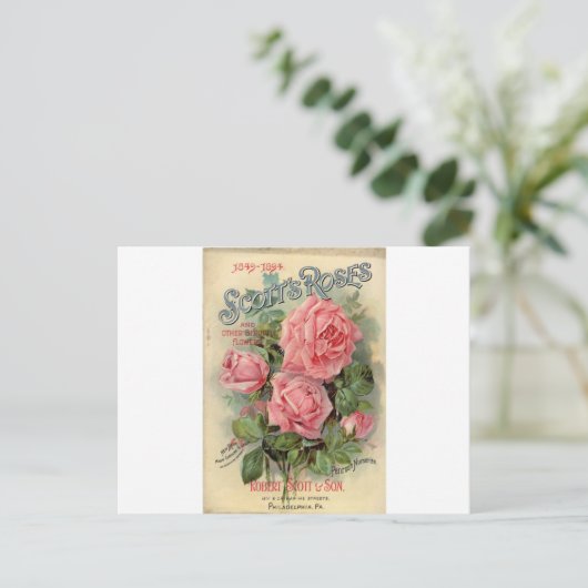 Vintage Rose Postkarte (Stehend Vorderseite)