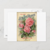 Vintage Rose Postkarte (Vorne/Hinten)