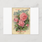 Vintage Rose Postkarte (Vorderseite)