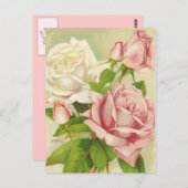Vintage Rose Postkarten (Vorne/Hinten)