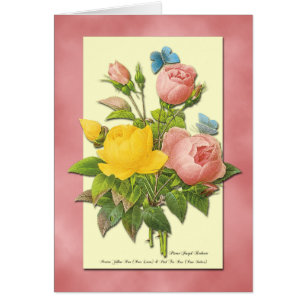 Vintage Rose rosa und gelb, unbedruckte Kunstkarte